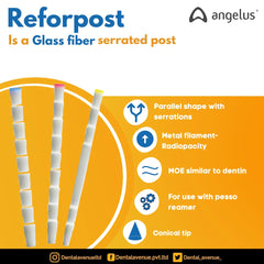 Angelus Reforpost Fiber Glass - Intraradicular Post