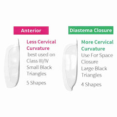 Bioclear Anterior Mini Kit - Modern Matrix System for Esthetic Restorations