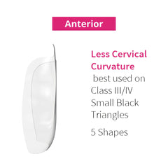 Bioclear Anterior Matrix - Clear Anatomical Sectional Matrices