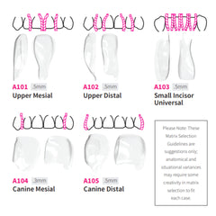 Bioclear Anterior Matrix - Clear Anatomical Sectional Matrices