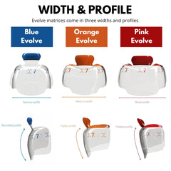 Bioclear Evolve Matrices - Anatomically Pre-shaped Posterior Matrices