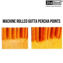 DiaDent - ML.029 2% Taper - mm Marked Gutta Percha Points