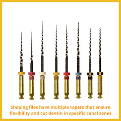 SS White ExactTaper H™-Rotary file system