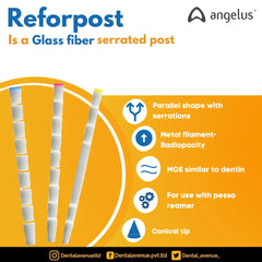 Angelus Reforpost Fiber Glass -  Intraradicular Post