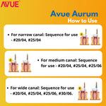 Avue Aurum - Gold Heat Treated Rotary File System - Pack of 6