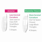Bioclear Anterior Kit - Modern Matrix System for Esthetic Restorations