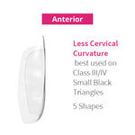 Bioclear Anterior Matrix - Clear Anatomical Sectional Matrices