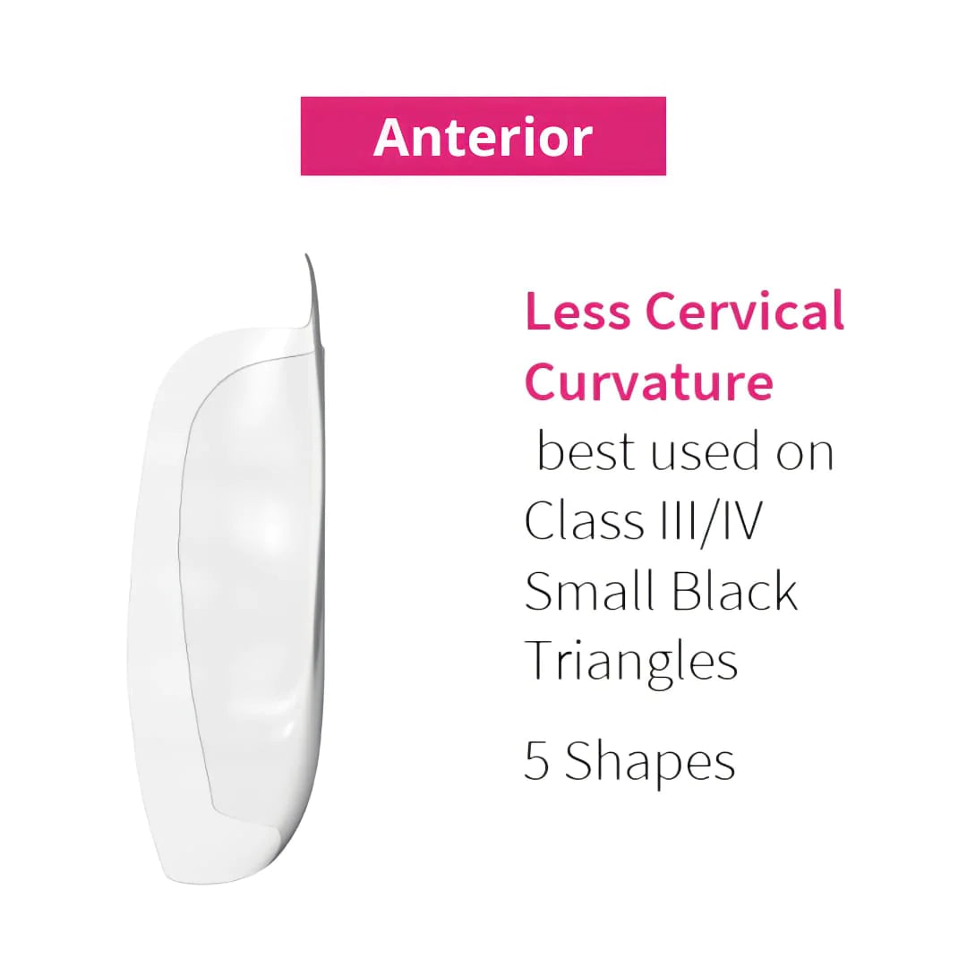 Bioclear Anterior Matrix - Clear Anatomical Sectional Matrices