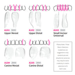 Bioclear Anterior Matrix - Clear Anatomical Sectional Matrices