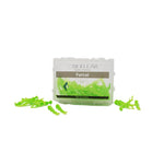 Bioclear Diamond Wedges Refill/Kit - Wedges to be Used Along with Bioclear Matrix system