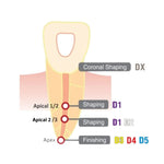 DiaDent Dia-X Files - Heat Treated Ni-Ti Rotary File System