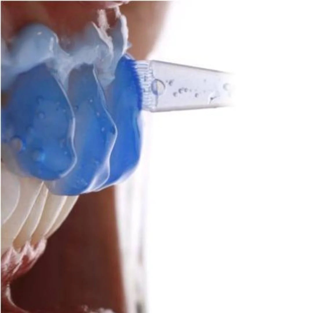 SDI Pola Rapid - Tooth Whitening System