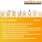 SS White EndoGuide - Precision Micro Endodontic Burs For Endodontic Access and Exploration