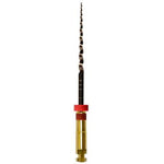 SS White ExactTaper H™-Rotary file system