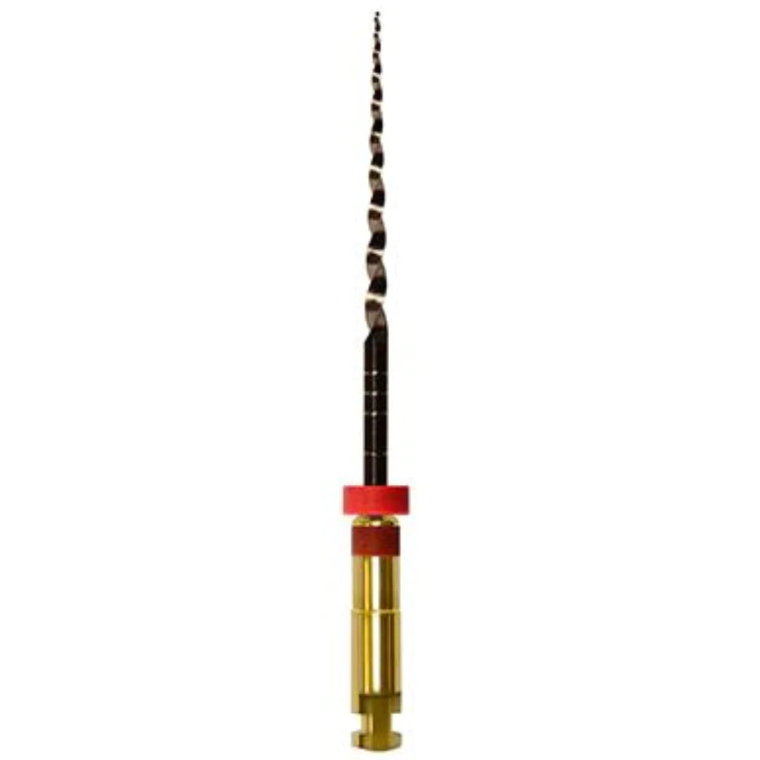 SS White ExactTaper H™-Rotary file system