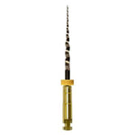 SS White ExactTaper H™-Rotary file system