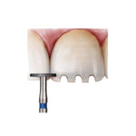 Avue True Diamond Burs- WR Series- Wheel Round End Burs